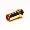 F Type to PAL Male to Male Adapter 180 Degree Gold Plating