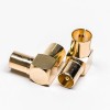20pcs PAL Male to Female Adapter RF Connector Angled Gold Plated