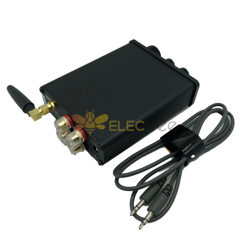 100W Mini Amplifikatör Masaüstü MINI Audiophile Hi-Fi Dijital bluetooth 5.0 Stereo 3116 MINI Güç Amplifikatörü Black
