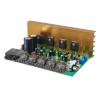 Amplificateur OK 2.0 canaux 100W + 100W avec carte amplificateur haute puissance à réverbération