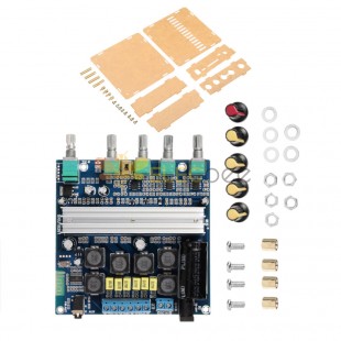 Carte d'amplificateur de subwoofer TPA3116 2.1 canaux haute puissance bluetooth 4.2 amplificateurs audio DC12V-24V 2 * 50W + 100W Amplificador avec coque
