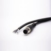 M12 5Pin Extension Cable Male A Code Straight Connector Molded Cable 2M AWG22