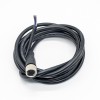 M12 A 代码延长电缆 5Pin 母直连接器 模压电缆 2M AWG22