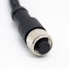 M12 Cable Assembly Female Straight 12 Pins Connector Aviation Socket Electrical Cable 1M AWG26 A Code