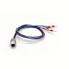 M8 Câble Code couleur Socket femme pour câble 24AWG 1M Straight 4 Pin Blukhead