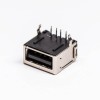 PCB Montaj için USB 2.0 Tip A Kadın Konnektör Sağ Açılı DIP