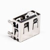 USB-Stecker für Leiterplattenmontage, Buchse, Durchgangsloch, 20 Stück
