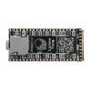 Tang 64Mbit SDRAM Yerleşik FPGA İndirici Çift Flaş Çekirdek Kartı RISC-V Geliştirme Kartı Mini PC + FT2232D JTAG USB RV Hata Ayıklayıcı
