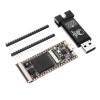 Tang 64Mbit SDRAM 온보드 FPGA 다운로더 듀얼 플래시 코어 보드 RISC-V 개발 보드 미니 PC + FT2232D JTAG USB RV 디버거