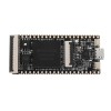 唐64Mbit SDRAM板載FPGA下載器雙閃存核心板RISC-V開發板迷你PC+FT2232D JTAG USB RV調試器