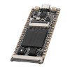 Tang64MビットSDRAMオンボードFPGAダウンローダーデュアルフラッシュコアボードRISC-V開発ボードミニPC+FT2232D JTAGUSBRVデバッガー