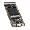 Tang 64Mbit SDRAM 온보드 FPGA 다운로더 듀얼 플래시 코어 보드 RISC-V 개발 보드 미니 PC + FT2232D JTAG USB RV 디버거