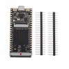 唐64Mbit SDRAM Onboard FPGA Downloader Dual Flash RISC-V開發板