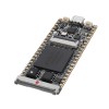 唐64Mbit SDRAM Onboard FPGA Downloader Dual Flash RISC-V開發板