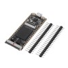 تانغ 64 ميجابت SDRAM Onboard FPGA Downloader Dual Flash RISC-V لوحة تطوير