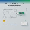 5 pièces ZB CC2531 Module de Dongle USB carte nue analyseur de protocole de paquet Interface USB Dongle prend en charge BASICZBR3 S31 Lite zb
