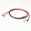 Kabel für Hifiman He560V3 Kopfhörer 3,5 mm auf Dual 3,5 mm Steckerkabel 1 m