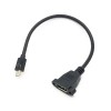 Mini Displayport to Female Displayport MDP Male to DP with screw lock Cable 0.3 meters