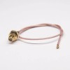 Waterproof SMA Cable Straight Female Blukhead to IPEX I Coaxial Cable Assembly RG178 20cm