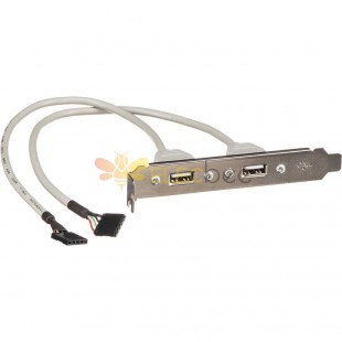 2 端口 USB A型母槽板转 IDC 5P母连接器薄型适配器线 30厘米