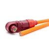 Câble de connecteur de stockage d\'énergie de 8 mm 1 broche 90 ° prise pour brancher le plastique rouge au noir 200A IP67 25mm2